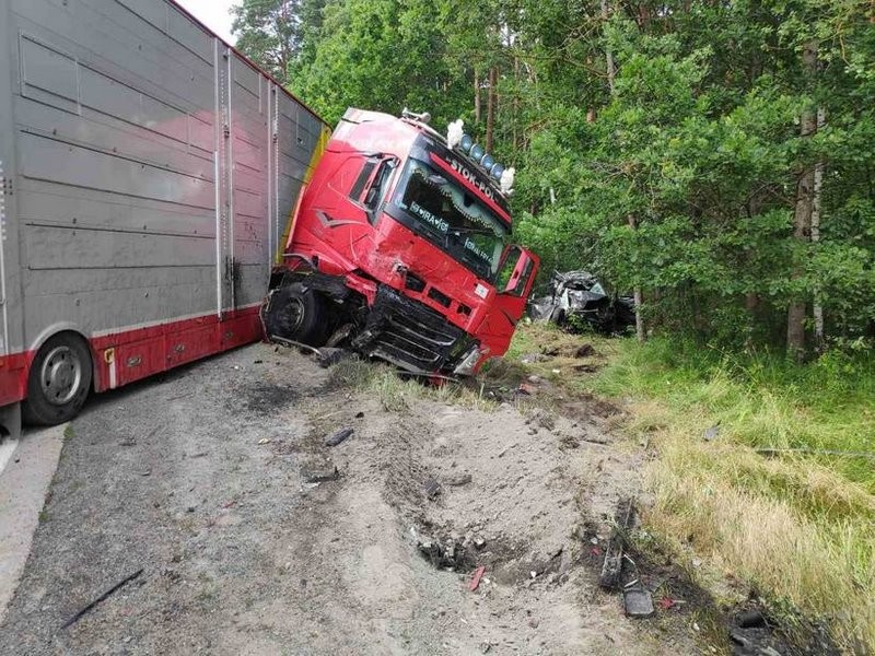 В Беларуси женщина с детьми на Volkswagen выехала под фуру. Погибла она сама и ее дочь