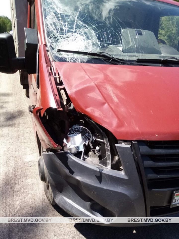 В Брестской области погиб 75-летний велосипедист