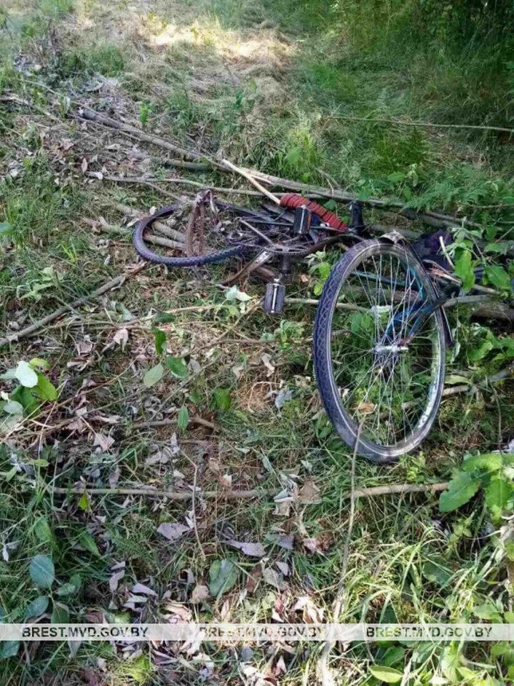 В Брестской области погиб 75-летний велосипедист