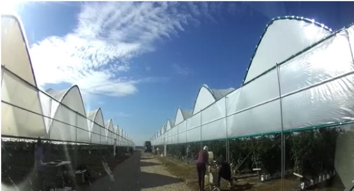 Фото из открытых источников (иллюстрация)