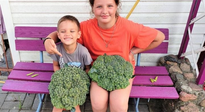 В Брестской области вырастили брокколи весом более килограмма