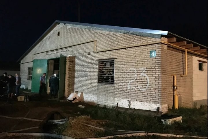 На пожаре в Березовском районе погибли 700 утят