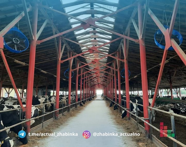 В Жабинковском районе установили вентиляторы, чтобы сохранить надои молока