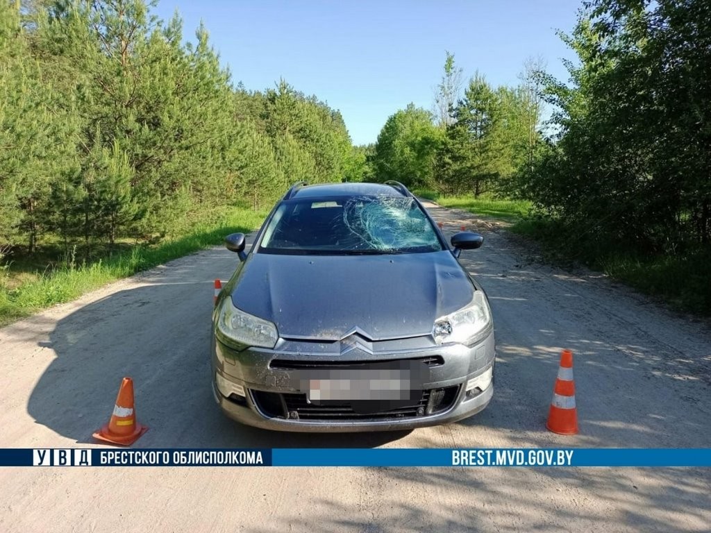 В Каменецком районе водитель автомобиля Citroen сбил велосипедиста