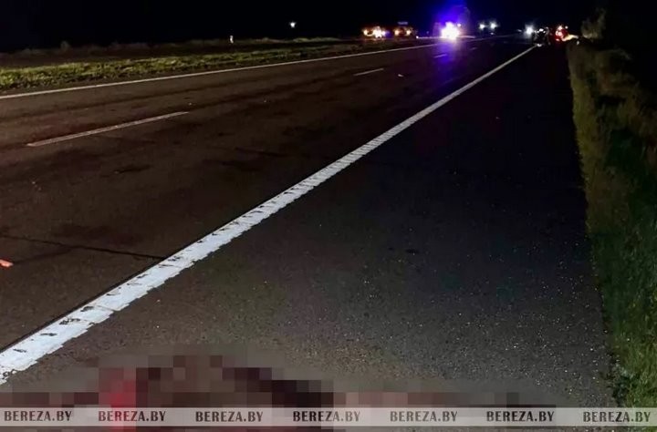 Под Березой автомобиль сбил лося, пассажирка была госпитализирована