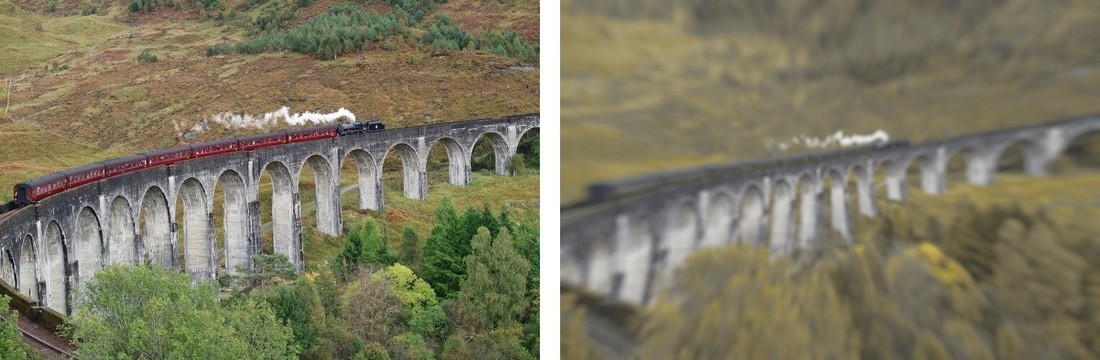 Разительная разница. Ученые показали, как видят мир люди и собаки