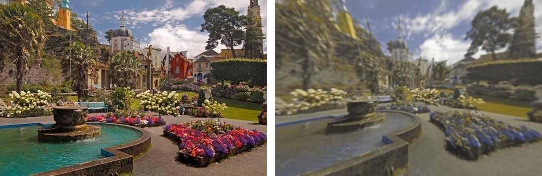 Разительная разница. Ученые показали, как видят мир люди и собаки