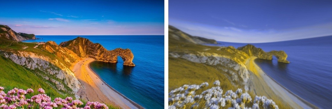 Разительная разница. Ученые показали, как видят мир люди и собаки