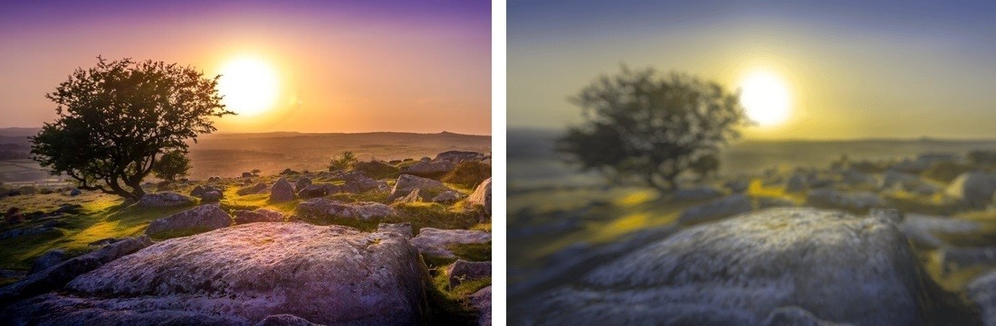 Разительная разница. Ученые показали, как видят мир люди и собаки