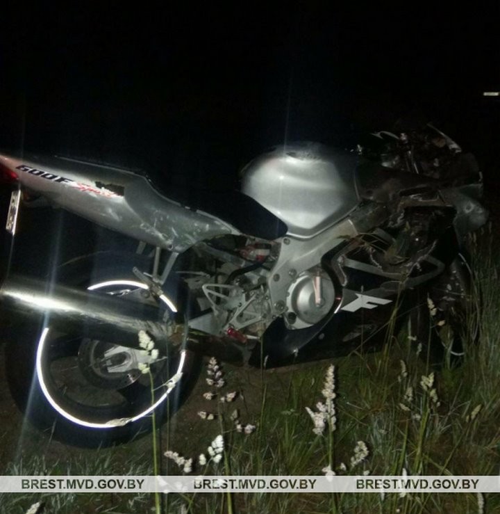 Мотоцикл столкнулся с косулей в Ивацевичском районе