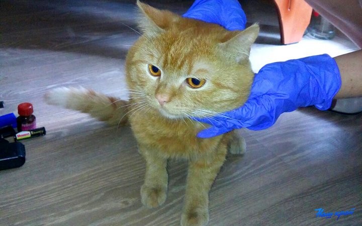 «Добили новую квартиру!»: в Брестской области выселили должников, пока их не было дома