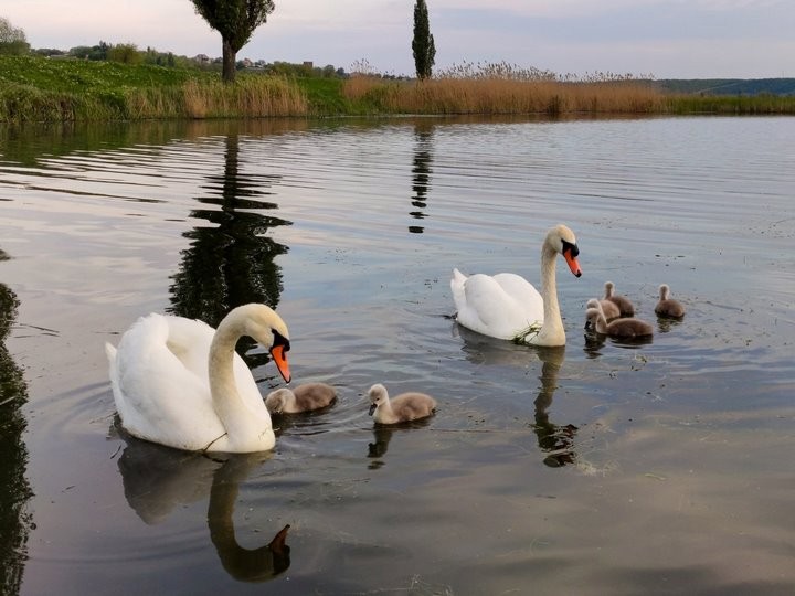 Фото из открытых источников (иллюстративное)