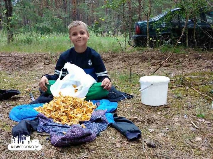 Женщина с сыном за один поход в лес собрали более 17 кг лисичек!