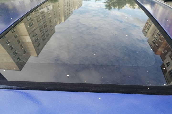 «Только недавно „облила“ машину, а ее заляпали краской строители». Случай в Беларуси