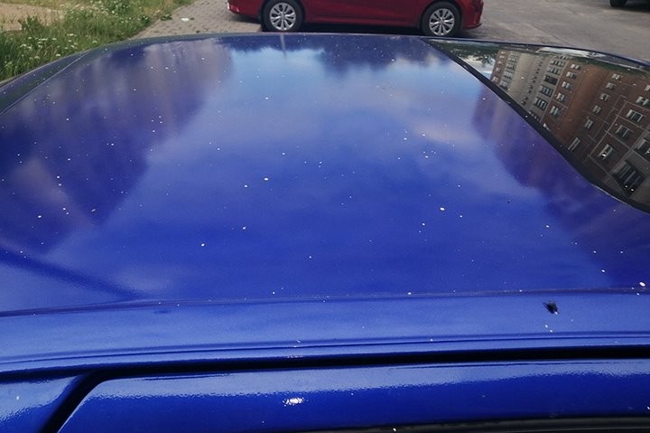 «Только недавно „облила“ машину, а ее заляпали краской строители». Случай в Беларуси