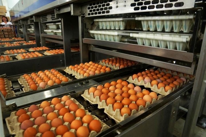 Фото из открытых источников (иллюстративное)