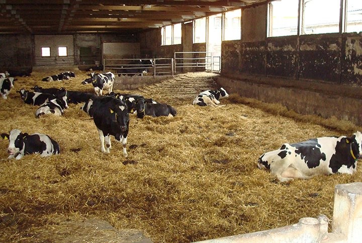 Фото из открытых источников (иллюстративное)