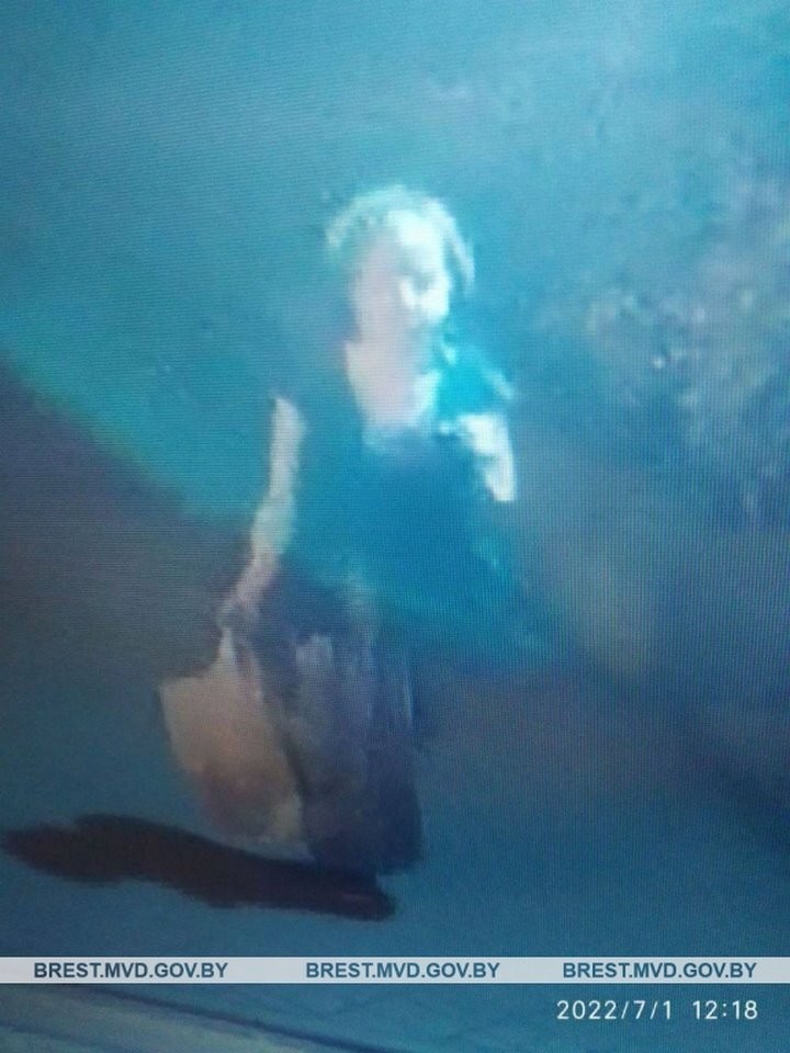 В Бресте ищут ночного пешехода, возможного свидетеля преступления