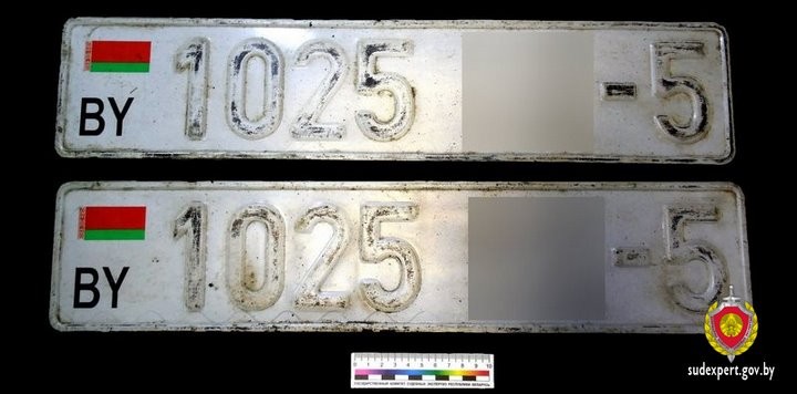 Белорус купил поддельные номера, «чтобы за границей не украли настоящие»