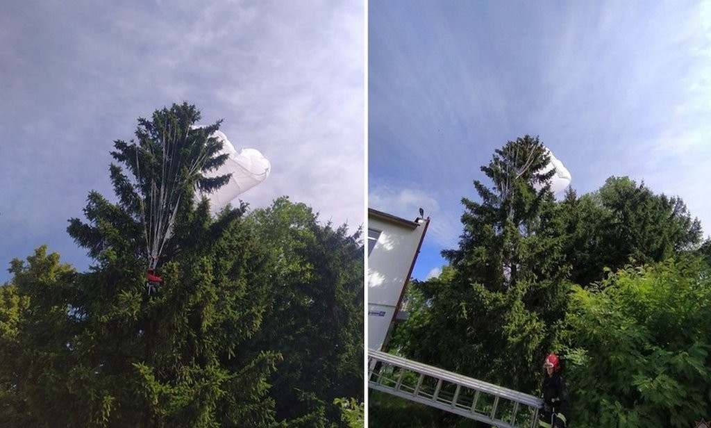 В Беларуси парашютистка застряла в ветвях высокой ели. Что было дальше