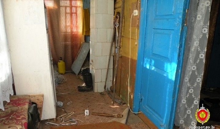 В Беларуси пьяный дядя зарубил племянника топором