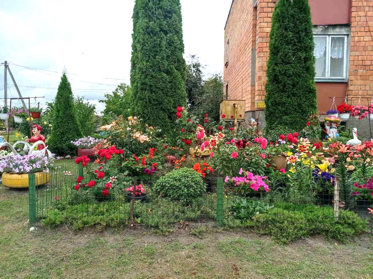 Посмотрите, какую клумбу в Брестской области обустроила семья