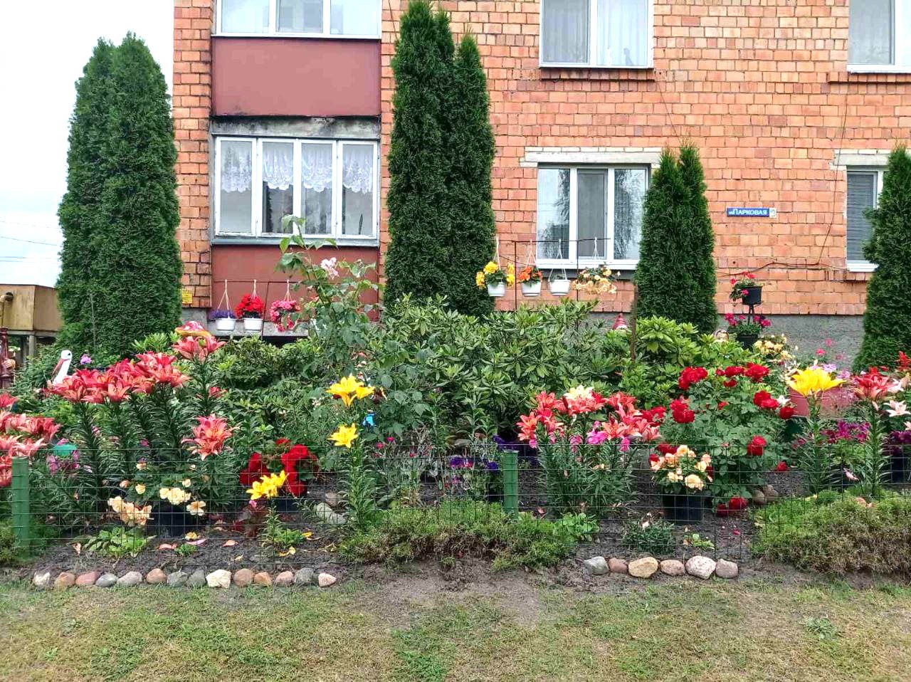 Посмотрите, какую клумбу в Брестской области обустроила семья