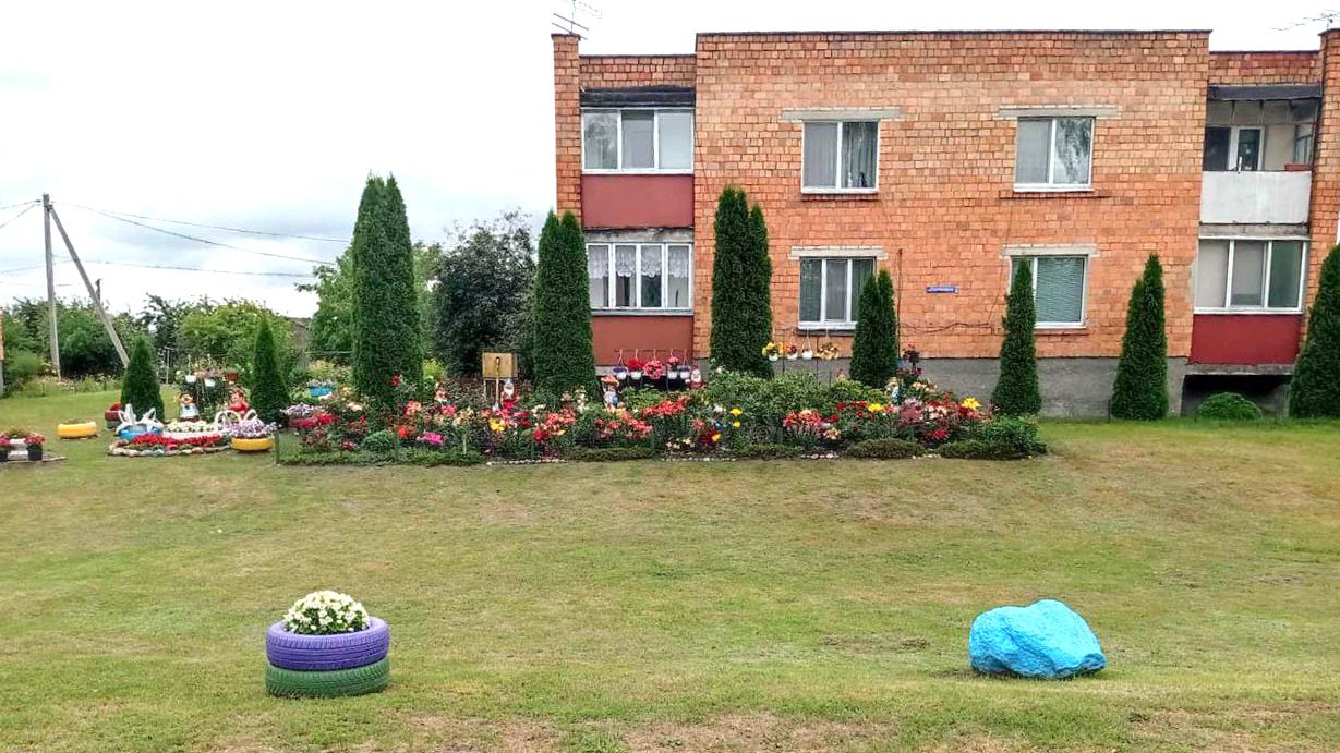 Посмотрите, какую клумбу в Брестской области обустроила семья