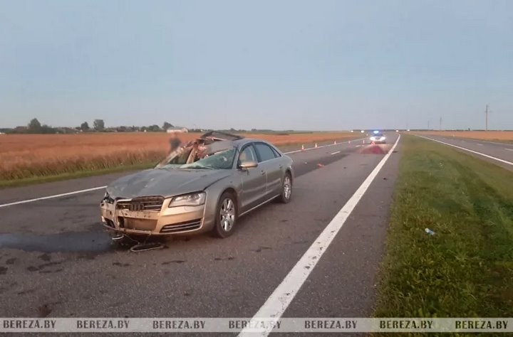 Отец и сын пострадали в ДТП из-за выбежавшей на дорогу лошади в Березовском районе