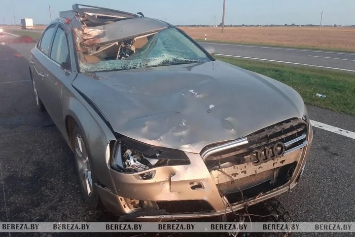 Отец и сын пострадали в ДТП из-за выбежавшей на дорогу лошади в Березовском районе