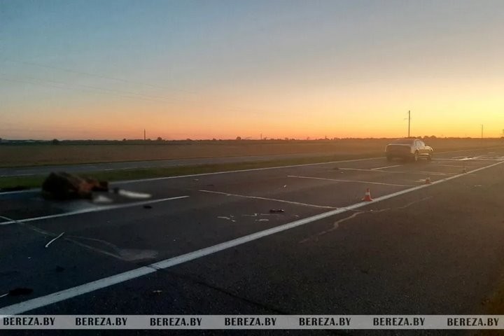 Отец и сын пострадали в ДТП из-за выбежавшей на дорогу лошади в Березовском районе