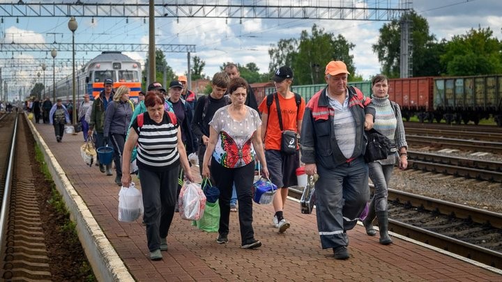 Истории белорусов, которые зарабатывают на чернике