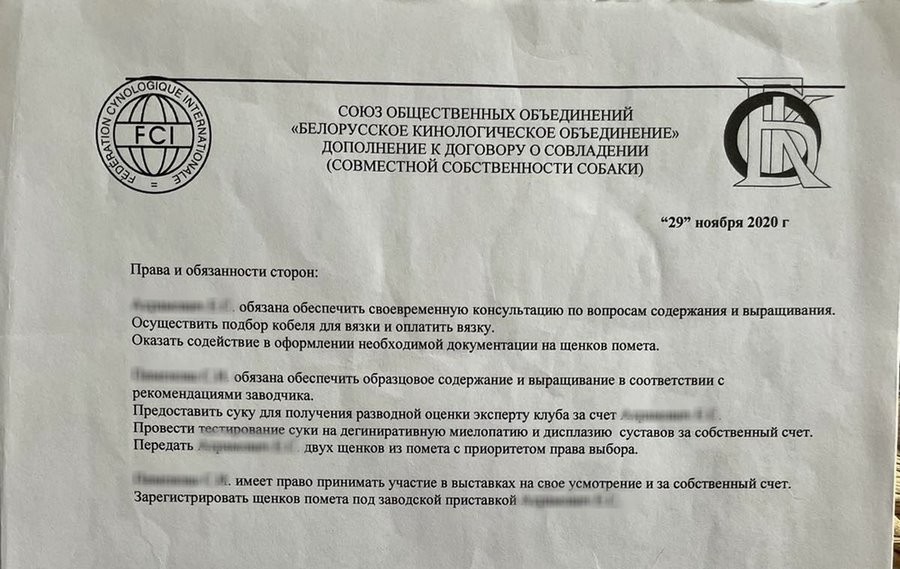 Купили породистую собаку, а теперь заводчица хочет ее вернуть: «Мы потратили на нее уже $1900»