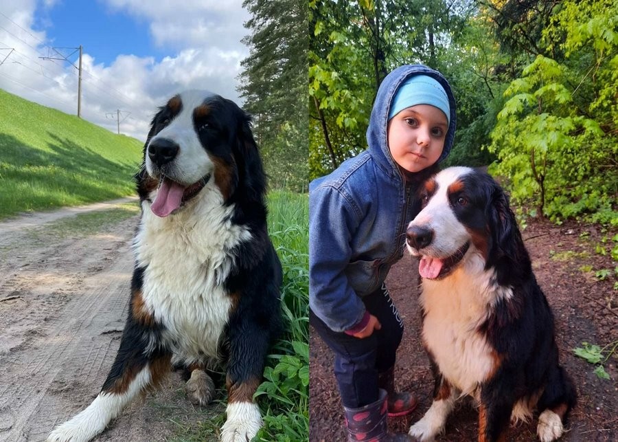 Купили породистую собаку, а теперь заводчица хочет ее вернуть: «Мы потратили на нее уже $1900»