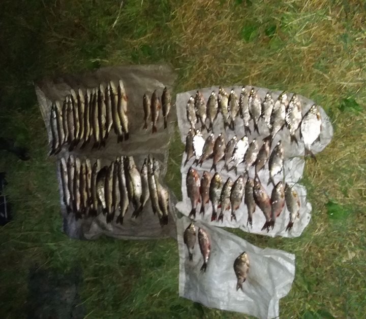 Двое лунинчан попались на незаконном лове рыбы. Как их наказали?