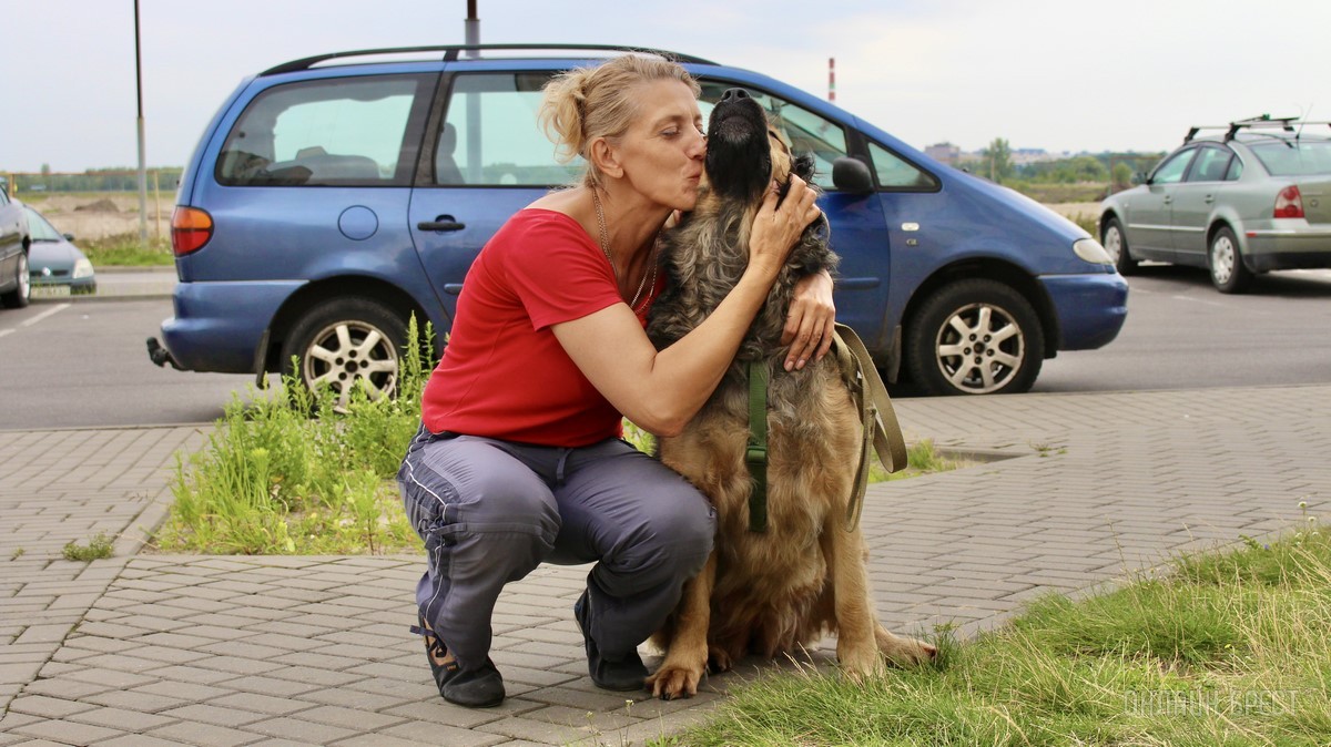 Лето, солнце, жара – что делать можно, а чего нельзя? Профессиональные зооцентры «Доктор Хвостов» и «Гламуррр» о том, как обезопасить домашних животных в летний период