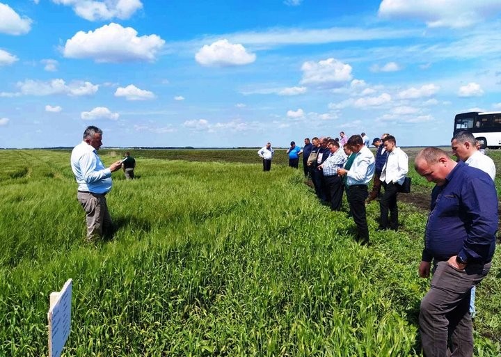 В Пинском районе показали, как работает инновационный цех по гранулированию травяных кормов