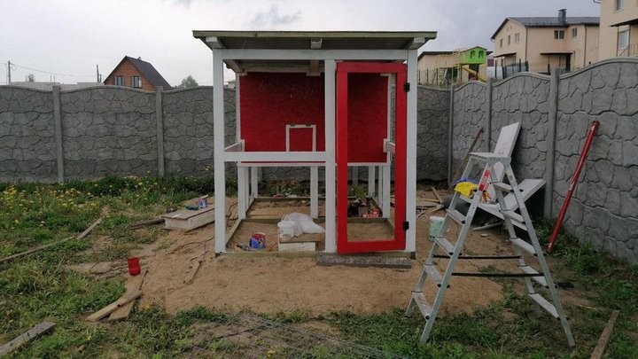 «Бинго! Мне срочно нужен курятник»: история минчанина, который занялся разведением кур-несушек