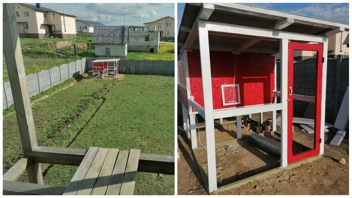 «Бинго! Мне срочно нужен курятник»: история минчанина, который занялся разведением кур-несушек