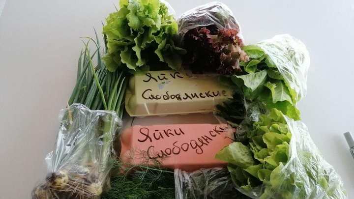 «Бинго! Мне срочно нужен курятник»: история минчанина, который занялся разведением кур-несушек