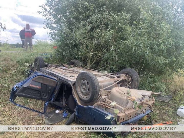 Врезался в дерево. В Дрогичинском районе погиб водитель