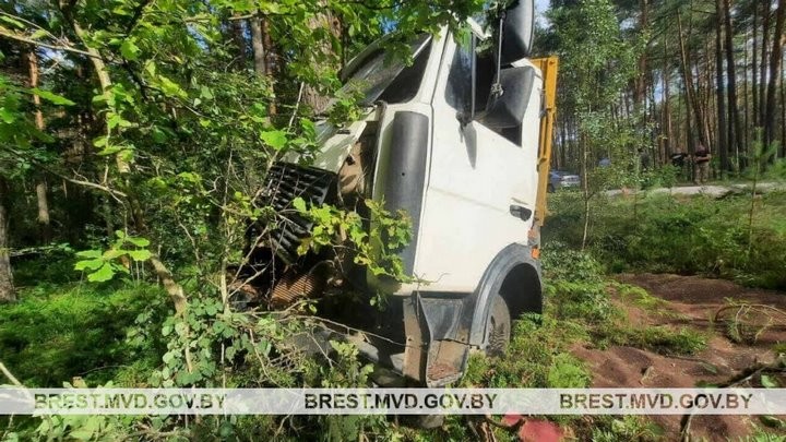МАЗ «встретился» с деревом в Брестском районе. Пассажир в больнице