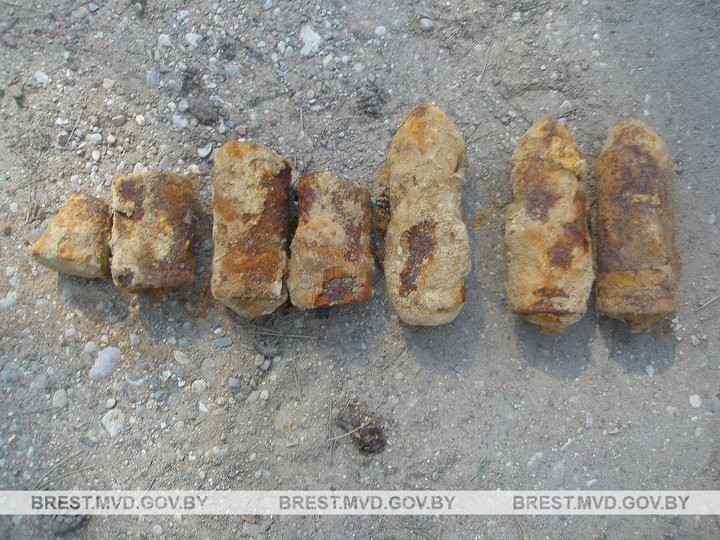 Житель Брестской области боеприпас возле гаража