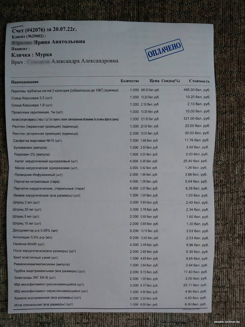 Кошка гуляла по забору и словила пулю из пневматики. Кто за это ответит?