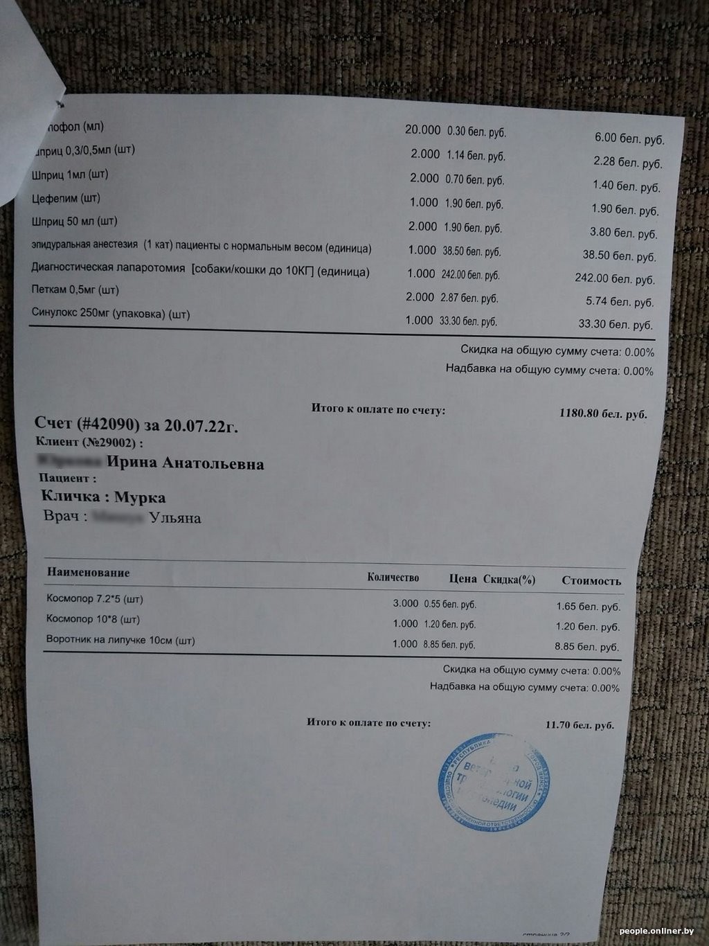 Кошка гуляла по забору и словила пулю из пневматики. Кто за это ответит?