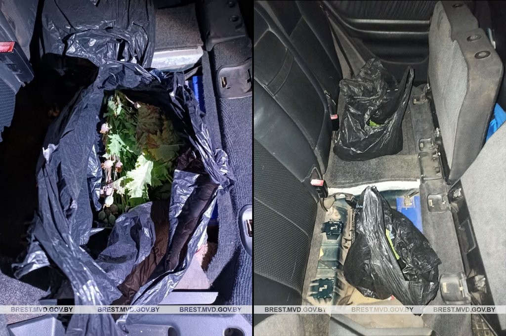 Компания из трех человек отправилась на машине из Пинска в Ивацевичский район за маковой соломкой. Что было дальше?