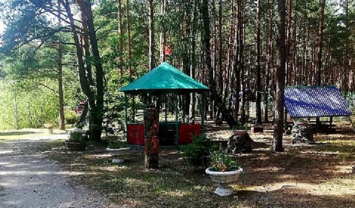 Мужчина лишил сторожа зрения в Солигорске. Подробности