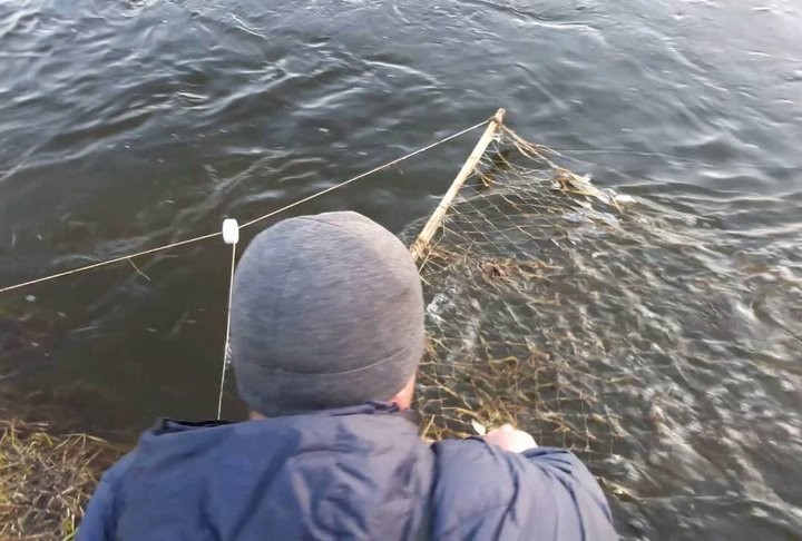 Фото из открытых источников (иллюстративное)