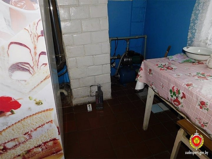 Жительница Брестской области позволила переночевать в доме мужчине и лишилась смартфона