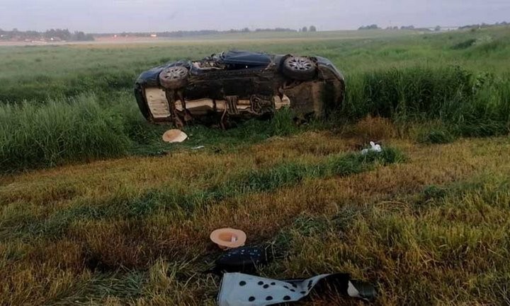 На трассу М1 выбежала косуля. Водитель попытался объехать ее, но вылетел в кювет